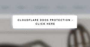 Cloudflare DDoS mitigation, from the DigitalXForce article "Stay Secure While Shopping Online on Black Friday and Cyber"