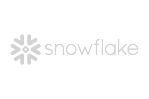 Snowflake logo, a DigitalXForce technology integration