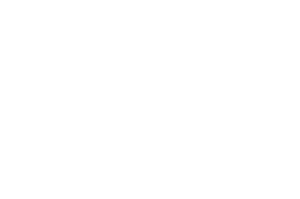 Aha! logo, a DigitalXForce technology integration