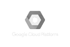 Google Cloud Platform logo, a DigitalXForce technology integration