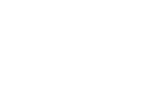 Gorgias logo, a DigitalXForce technology integration