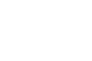 Gusto logo, a DigitalXForce technology integration