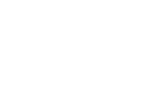 Humaans logo, a DigitalXForce technology integration