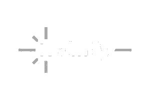 Netlify logo, a DigitalXForce technology integration