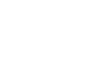 Probely logo, a DigitalXForce technology integration