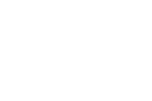 Sage logo, a DigitalXForce technology integration